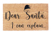 Dear Santa, I Can Explain..